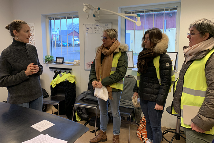 Franska lärare på besök i skolans veterinärklinik där Marie Gustafsson, klinikansvarig, berättar om verksamheten. Foto: Åsa Meierkord
